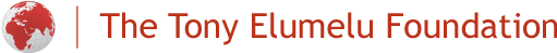 Tony Elumelu Foundation